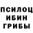 Галлюциногенные грибы MAGIC MUSHROOMS Suada Aliyeva