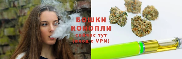 дживик Баксан