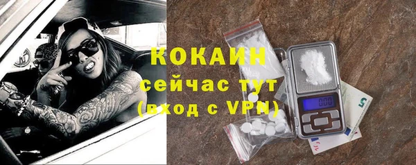 дживик Баксан